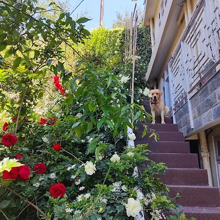 Vatsalyam Home Stay Shimla Exterior photo