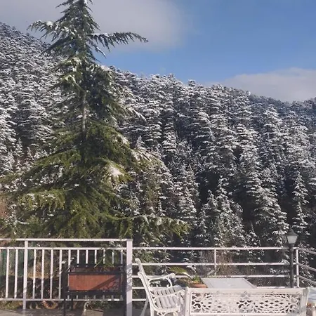 Vatsalyam Home Stay Shimla Exterior photo